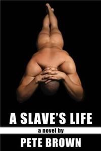 Slave's Life
