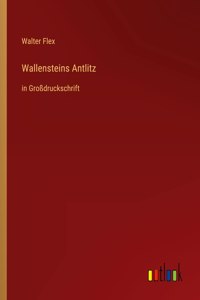 Wallensteins Antlitz: in Großdruckschrift