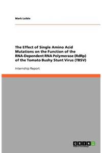 The Effect of Single Amino Acid Mutations on the Function of the RNA-Dependent RNA Polymerase (RdRp) of the Tomato Bushy Stunt Virus (TBSV)
