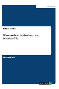 Wissensschutz. Maßnahmen und Schadensfälle