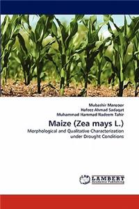 Maize (Zea mays L.)