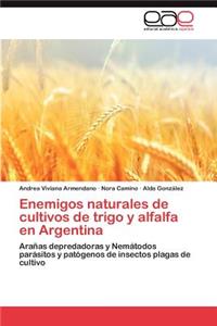 Enemigos Naturales de Cultivos de Trigo y Alfalfa En Argentina