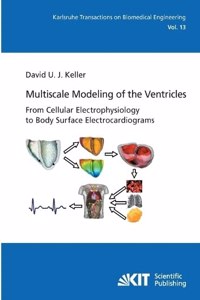 Multiscale Modeling of the Ventricles