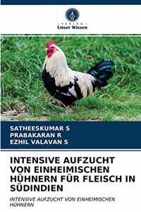 Intensive Aufzucht Von Einheimischen Hühnern Für Fleisch in Südindien