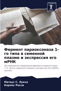 Фермент параоксоназа 1-го типа в семенной п