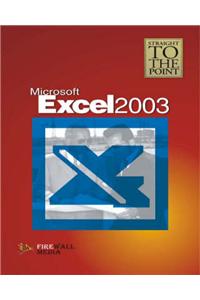 MS Excel 2003