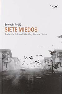 Siete miedos (sajalin) (Spanish Edition)