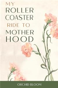 My Roller Coaster Ride To Motherhood