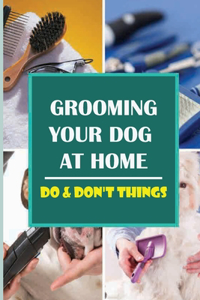 Grooming Your Dog At Home