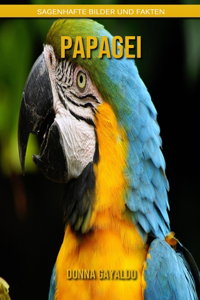 Papagei