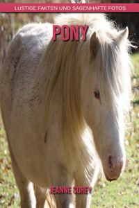 Pony