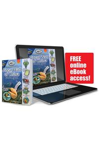 The Mystery on the Great Wall of China