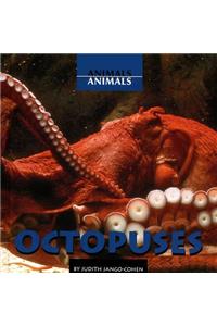 Octopuses
