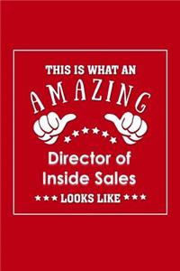 This is What an Amazing Director of Inside Sales Look Like
