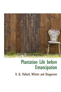 Plantation Life Before Emancipation