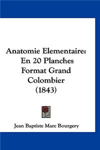 Anatomie Elementaire