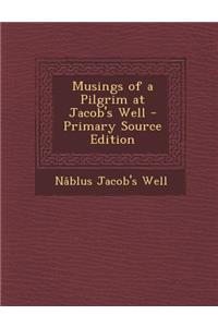 Musings of a Pilgrim at Jacob's Well