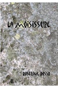 Moisissure