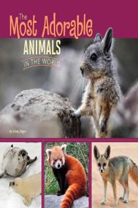 Most Adorable Animals in the World