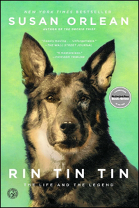 Rin Tin Tin