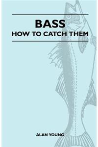 Bass - How To Catch Them