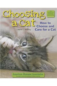Choosing a Cat