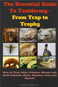 The Essential Guide To Taxidermy - From Trap to Trophy