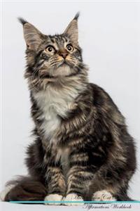 Maine Coon Cat Affirmations Workbook Maine Coon Cat Presents