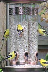 Golden Finches at the Bird Feeder Journal: 150 Page Lined Notebook/Diary