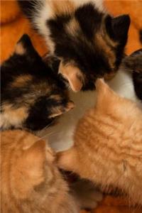 Cute Kitties Journal