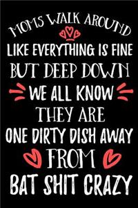 Moms Walk Around Like Everything Is Fine But Deep Down We All Know They Are One Dirty Dish Away From Bat Shit Crazy