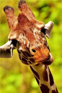 Funny Curious Giraffe Notebook