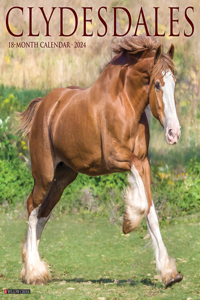 Clydesdales 2024 12 X 12 Wall Calendar