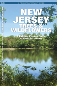 New Jersey Trees & Wildflowers