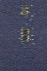 The Social and Economic History of the Roman Empire, Volume II