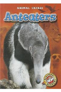 Anteaters