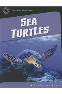Sea Turtles