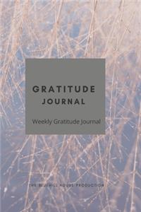 gratitude journal