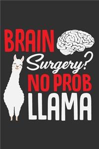 Brain Surgery? No Prob Llama