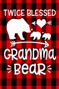 Twice Blessed Grandma Bear