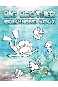 Big Brother Colouring Book