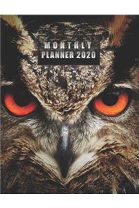 Monthly Planner 2020: NOTEBOOK + CALENDAR NOTEPAD / Diary / Agenda / Logbook: year at glance + 2 - page monthly layout + notes pages, large size (Owl Eyes on a cover)