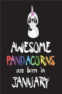 Awesome Pandacorns Are Born in January