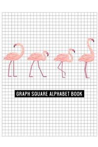 Graph Square Alphabet Book