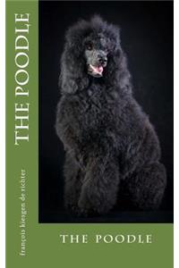 poodle