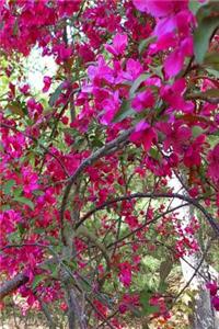 Springtime 2019 Weekly Planner Glorious Flowering Tree 134 Pages