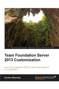 Team Foundation Server 2013 Customization