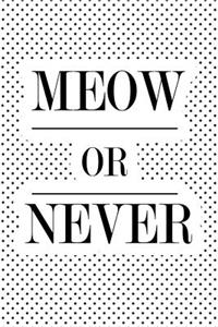 Meow or Never