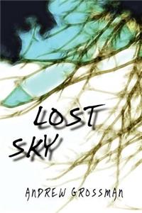 Lost Sky