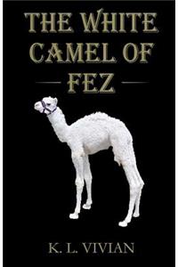 White Camel of Fez